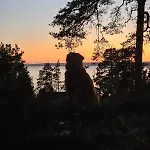 Idyllic On Jeloy - The Pearl Of The Oslofjord Σπίτι διακοπών