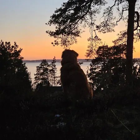 Idyllic On Jeloy - The Pearl Of The Oslofjord Dom wakacyjny